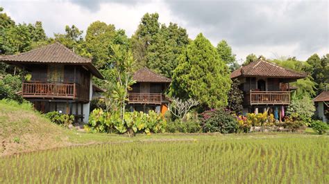 Accommodation Munduk
