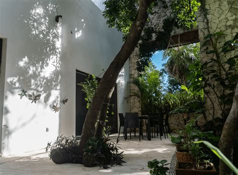 Accommodation Near Cenotes