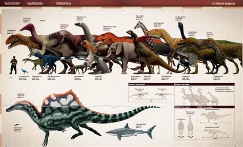 Accurate Dinosaur Size Chart