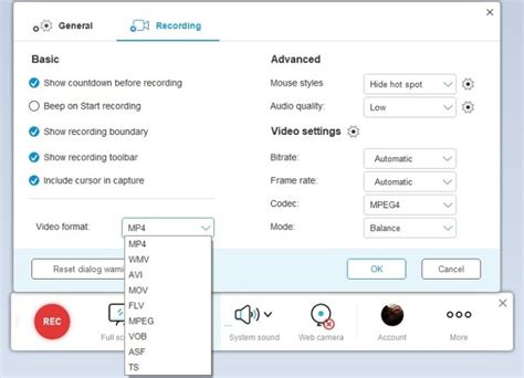 AceThinker Free Online Screen Recorder - Additional Features