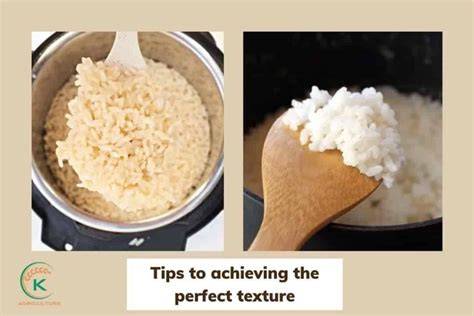 Achieving the Perfect Rice Texture