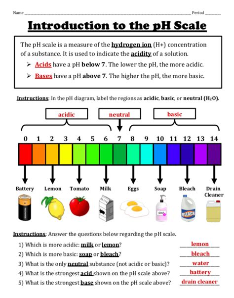Acids Bases And The Ph Scale Worksheet Answers