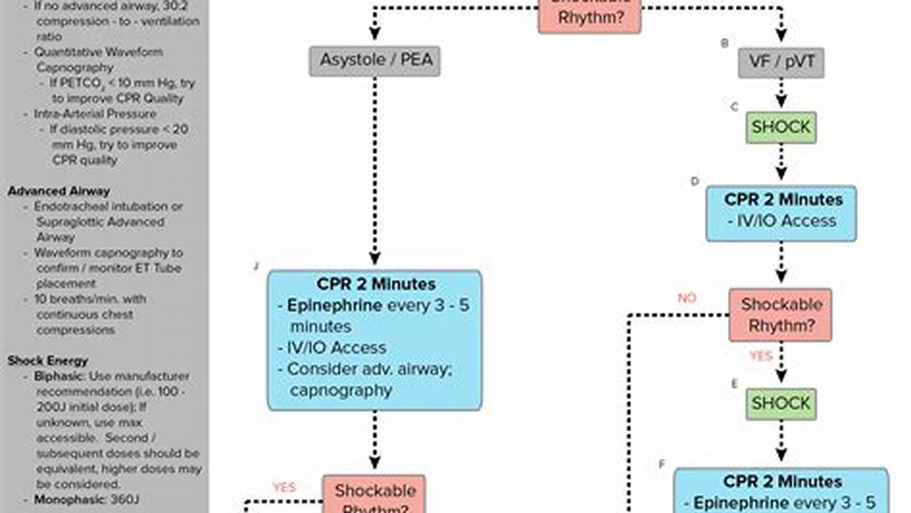 Acls Algorithm 2024 Pdf