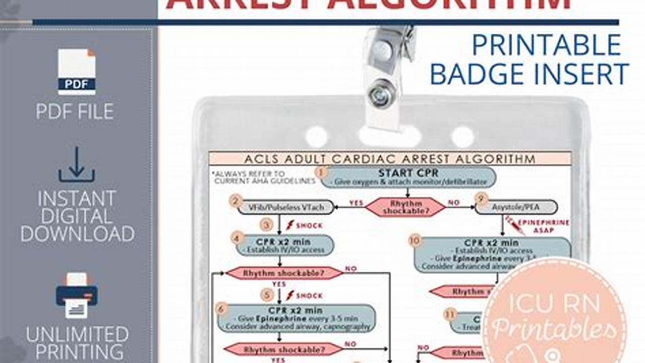 Acls Algorithm Cards 2024 Free