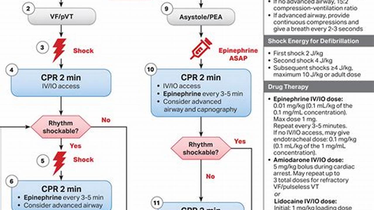 Acls Algorithm Cards 2024 Release Date