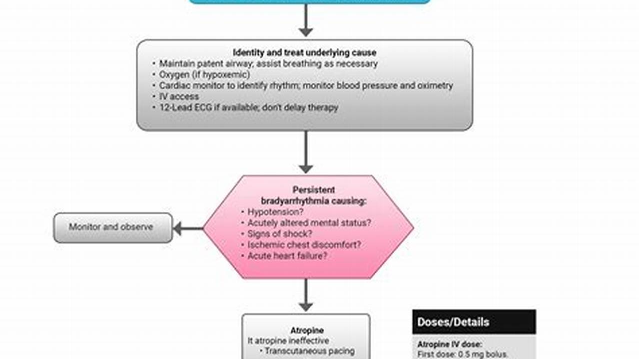 Acls Algorithm Cards 2024