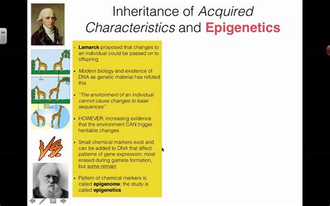 The Evolutionary Enigma: Unraveling the Acquired Characteristics Definition in Biology
