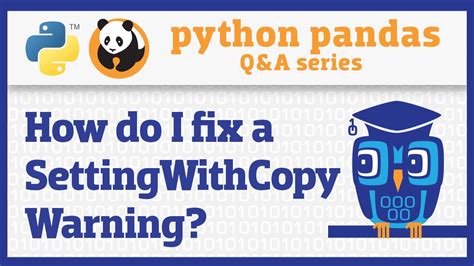 th?q=Action With Pandas Settingwithcopywarning - Maximize Data Manipulation Efficiency with Action-Packed Pandas!
