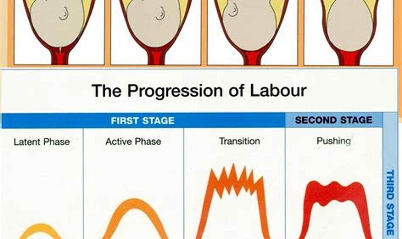 Active labor: progression and changes