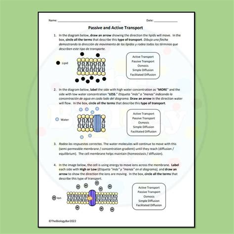 Active and Passive Transport Worksheet for 4th - 5th Grade | Lesson Planet