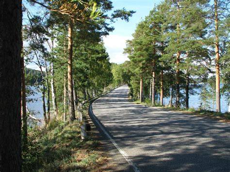 Activities In Punkaharju