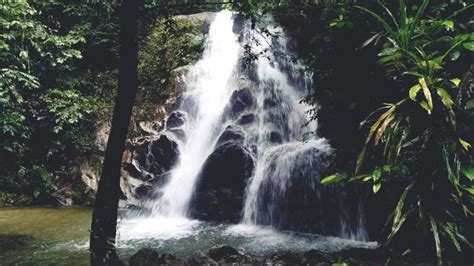 Activities at Kanching Falls