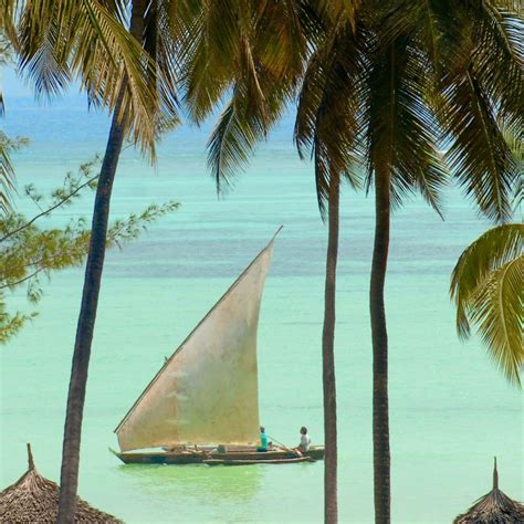 Activities in Paje