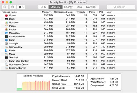 Activity Monitor Memory