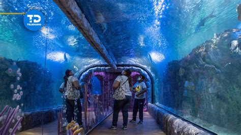 Acuario Inbursa Entrance