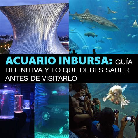 Acuario Inbursa Tips