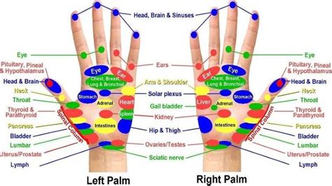 Acupressure Points Chart Hand