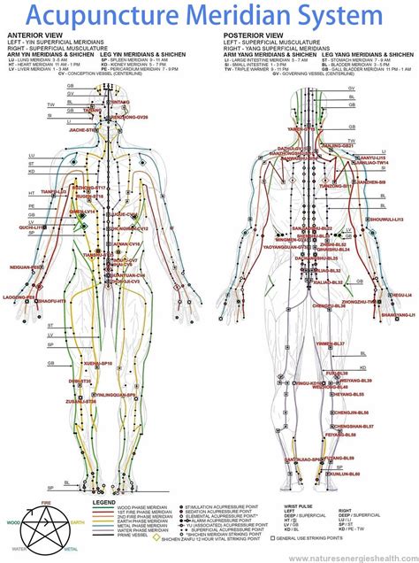 Acupuncture Meridian Points Chart