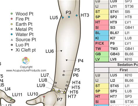 Acupuncture Points Arm Chart