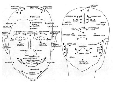 Acupuncture Points On Head Chart