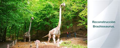 Adaptasi Brachiosaurus