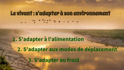 Adapter son Environnement