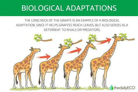 Adapting Diagrams to Varied Terrain and Conditions