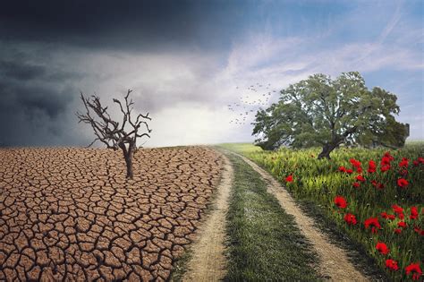 Adapting to the Changing Landscape