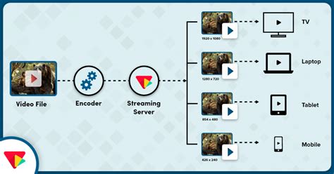 Adaptive Bitrate Streaming