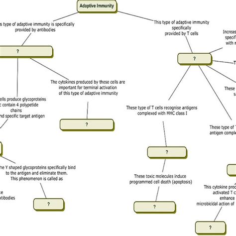 Adaptive Immunity Concept Map