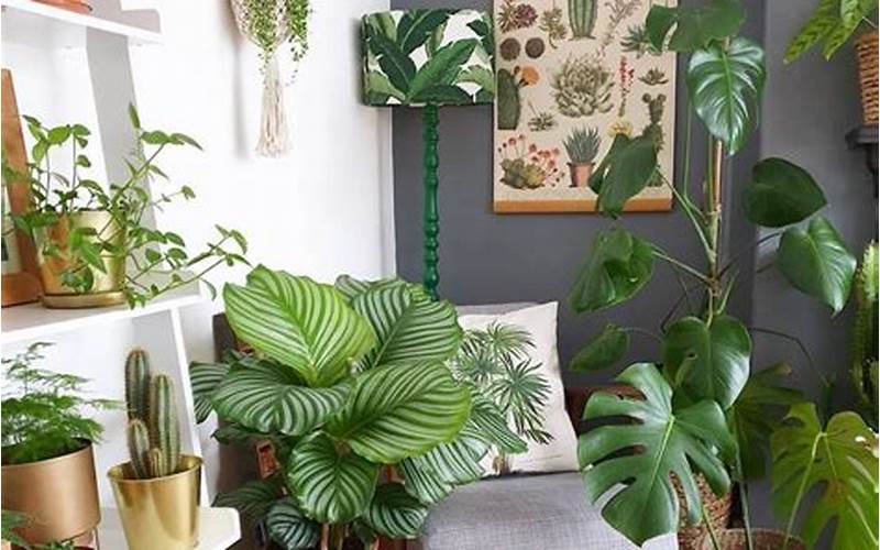 Add A Touch Of Greenery To Your Home Decor With Indoor Plants