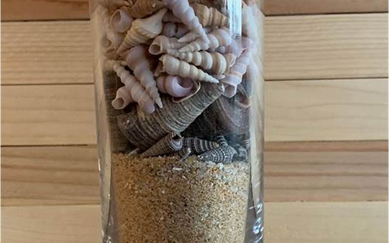 Add Shells To Glass Vase