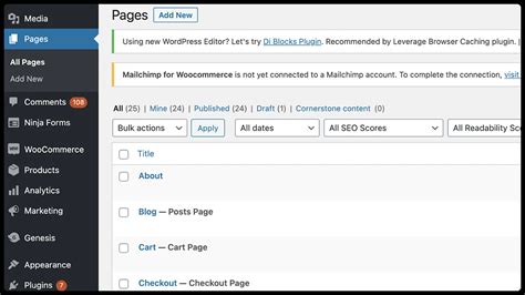 Add Essential Pages and Content