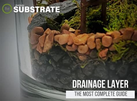 Adding a drainage layer to a terrarium