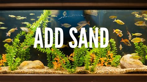 Adding Sand to a Fish Tank