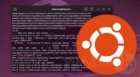 Adding software repository in Ubuntu terminal