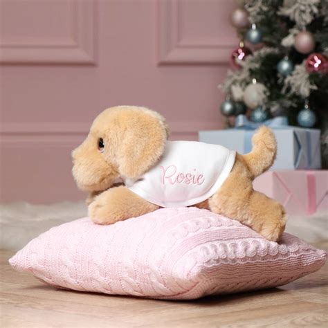 Adding the Signature Labrador Expression