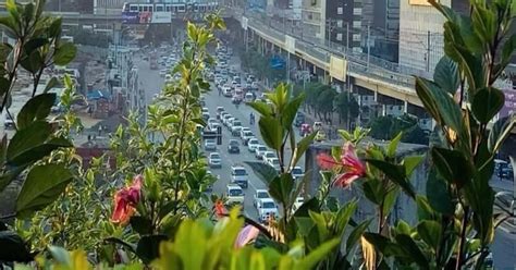 Addis Ababa Tour Guide