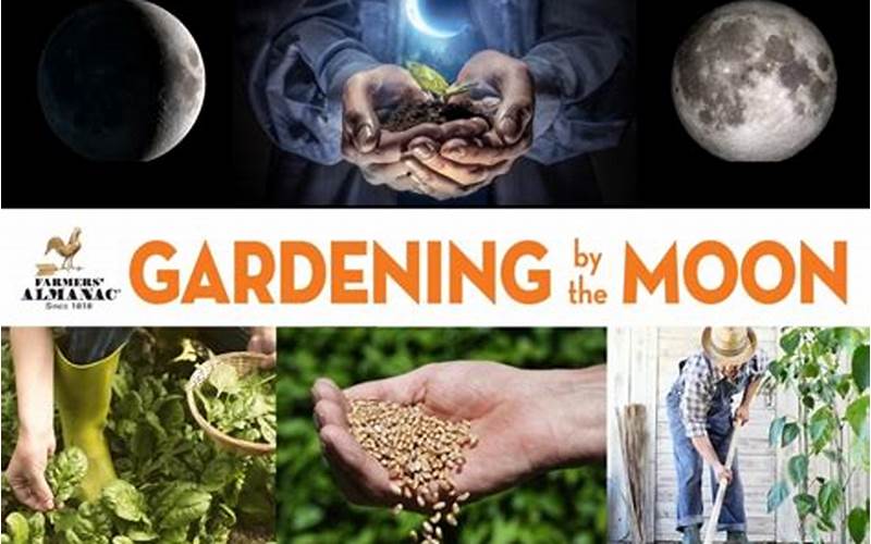 Additional Tips For Planting By The Moon