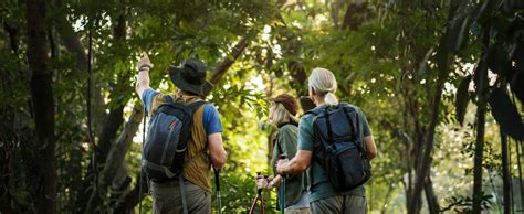 Walking Tours Information