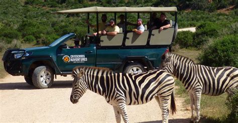 Addo Elephant National Park Activities