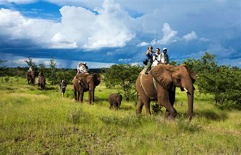 Addo Elephant Park Activities