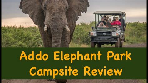 Addo Elephant Park Review