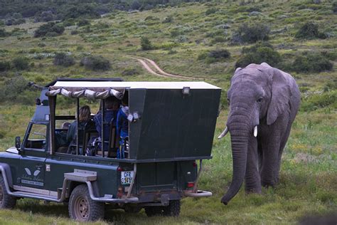 Addo Elephant Park Tour Vehicle