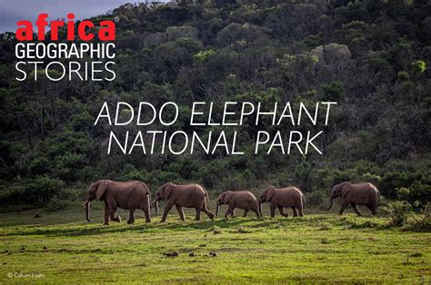 Addo Elephant Park Viewpoints