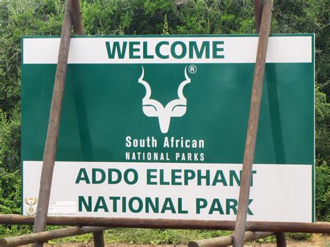Addo Elephant Park What to Pack