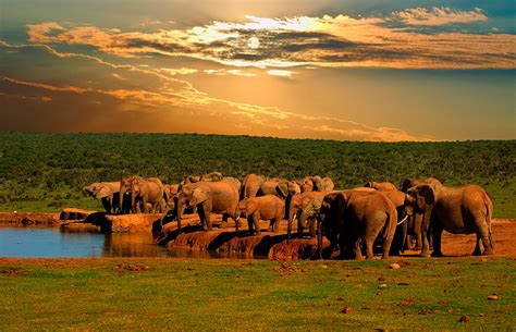 Addo Elephant Park landscape