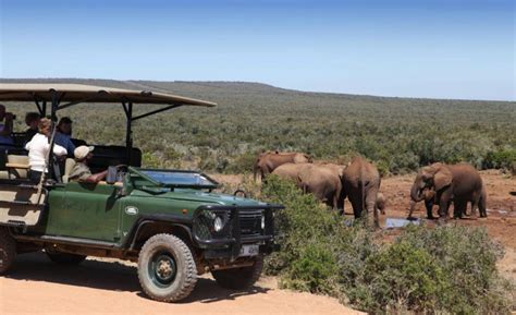 Addo Safari Vehicle