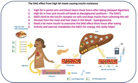 Addressing Insulin Resistance in T1D