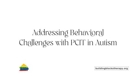 Addressing Specific Behavioral Challenges